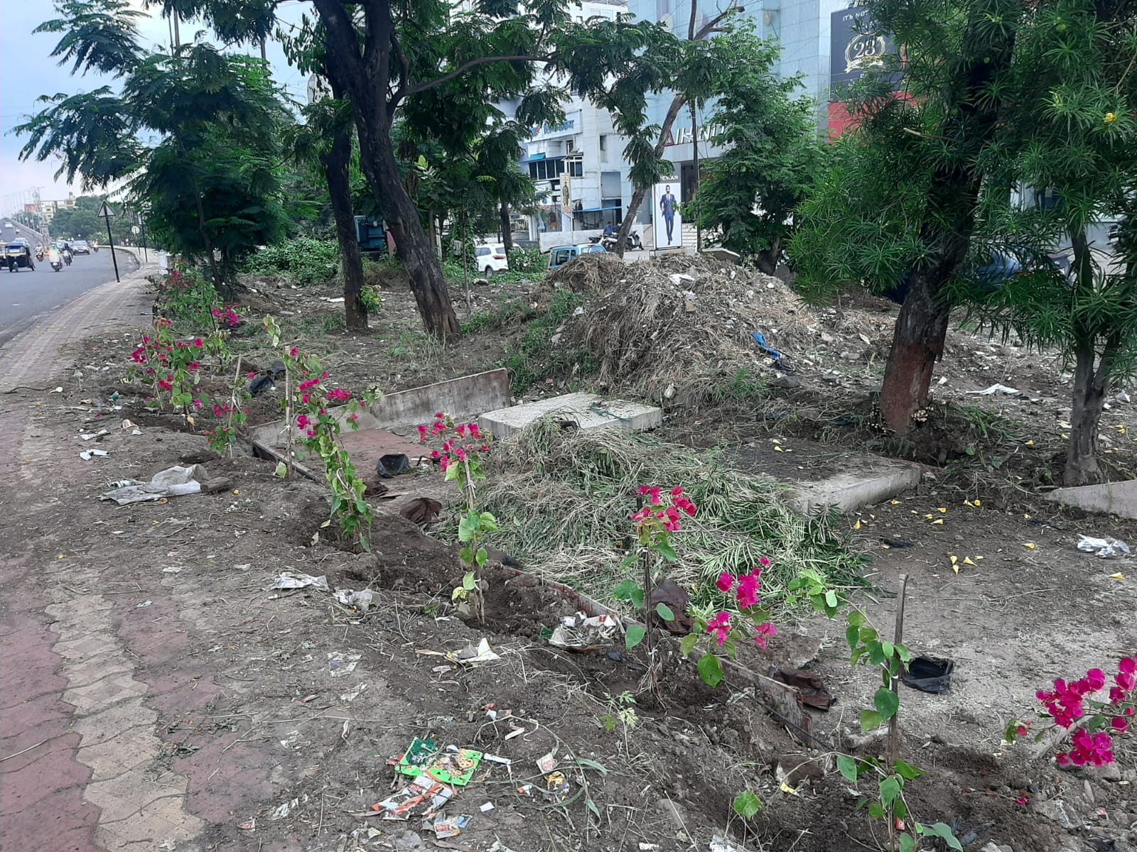 Green Belt Development and maintenance activity